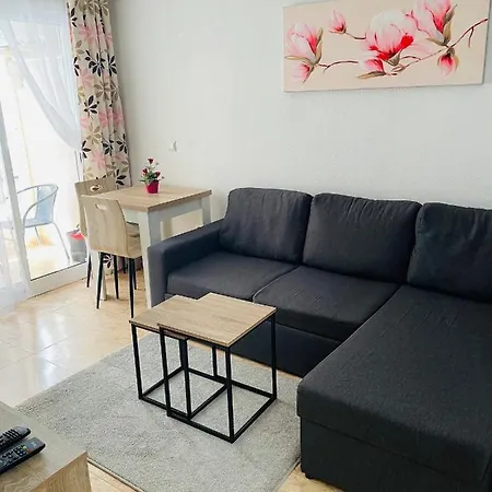 Appartement San Pascual, 289 Torrevieja